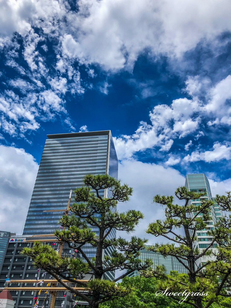 June 20, 2021 11:36 Tokyo