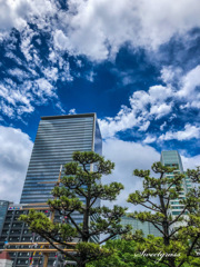 June 20, 2021 11:36 Tokyo