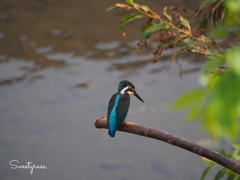 Blue september