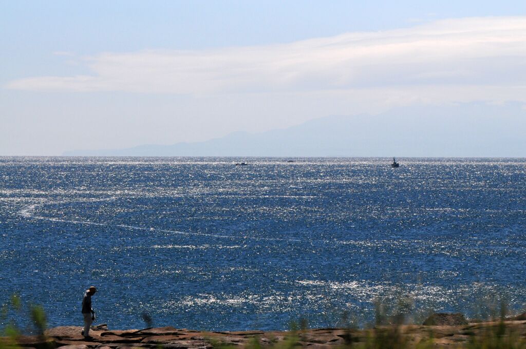 湘南の海　DSC_8182