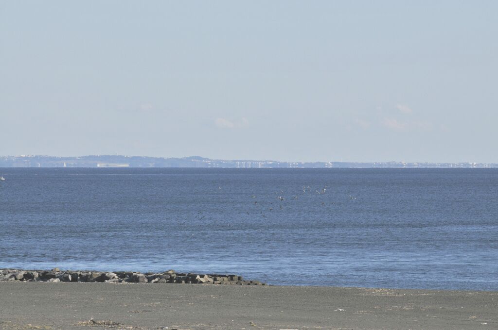 湘南の海　蜃気楼_DSC1770