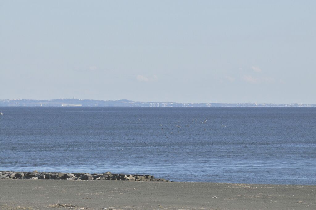 湘南の海　蜃気楼_DSC1770