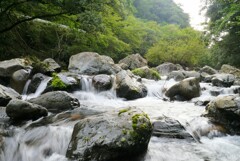 切込川ジャンクション