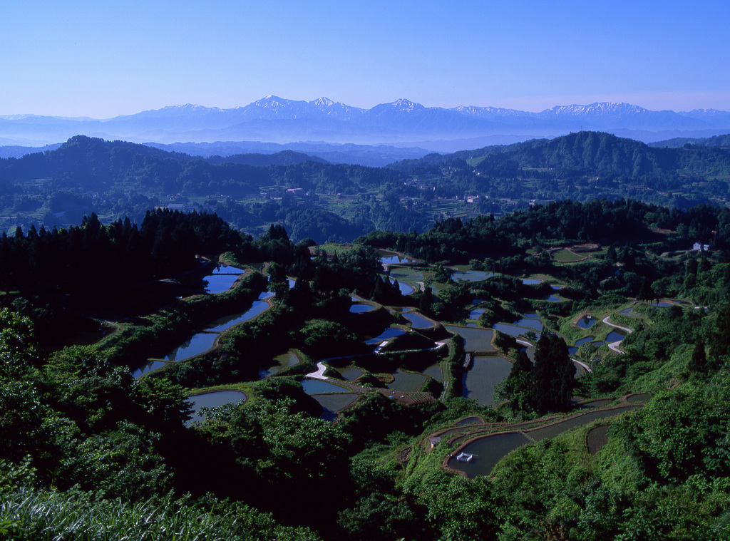 山古志　越後三山と棚田