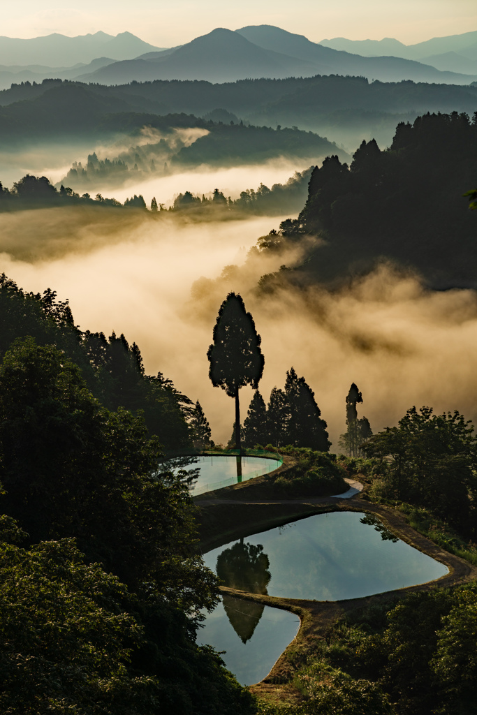 霧湧く