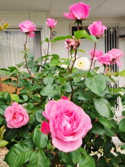 IMG_20210507_085102