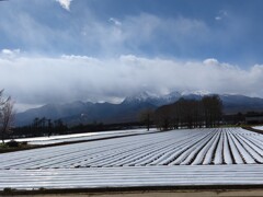 IMG_20210503_140304