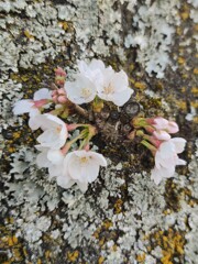 IMG_20210324_172000