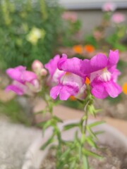 IMG_20210526_094841