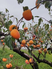 IMG_20211013_133947
