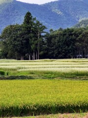 IMG_20210829_164420