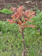 IMG_20210405_124350