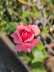 IMG_20211009_074807