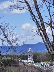 IMG_20210503_140806~2