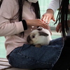 ふれあい公園にて