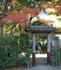 日本庭園裏門