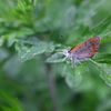 雨の日冒険-2