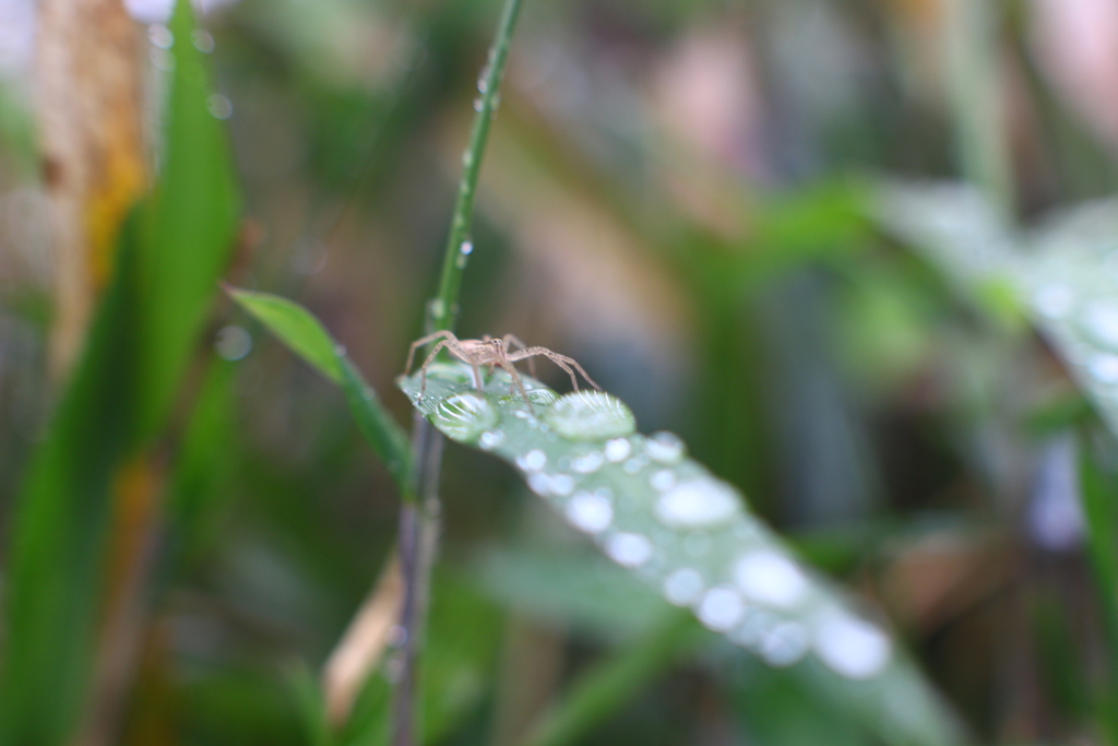 雨の日探検-3