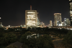 夜の芝離宮