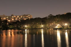 夜の井の頭公園