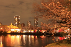 不忍池の桜