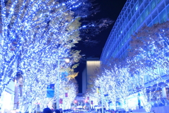 欅坂イルミネーション