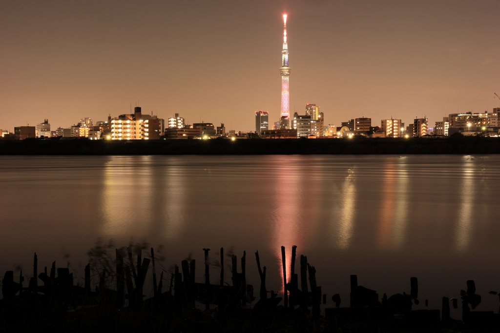荒川越しのスカイツリー