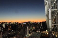 ドームガーデンからの夕景