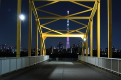 鉄骨越しのスカイツリー