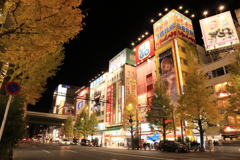 夜の秋葉原