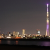 荒川越しの東京スカイツリー