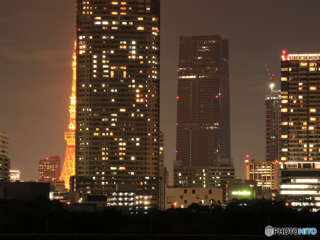 ハーフ東京タワー