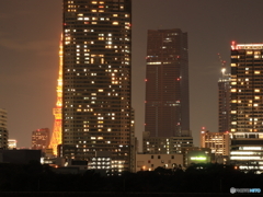 ハーフ東京タワー