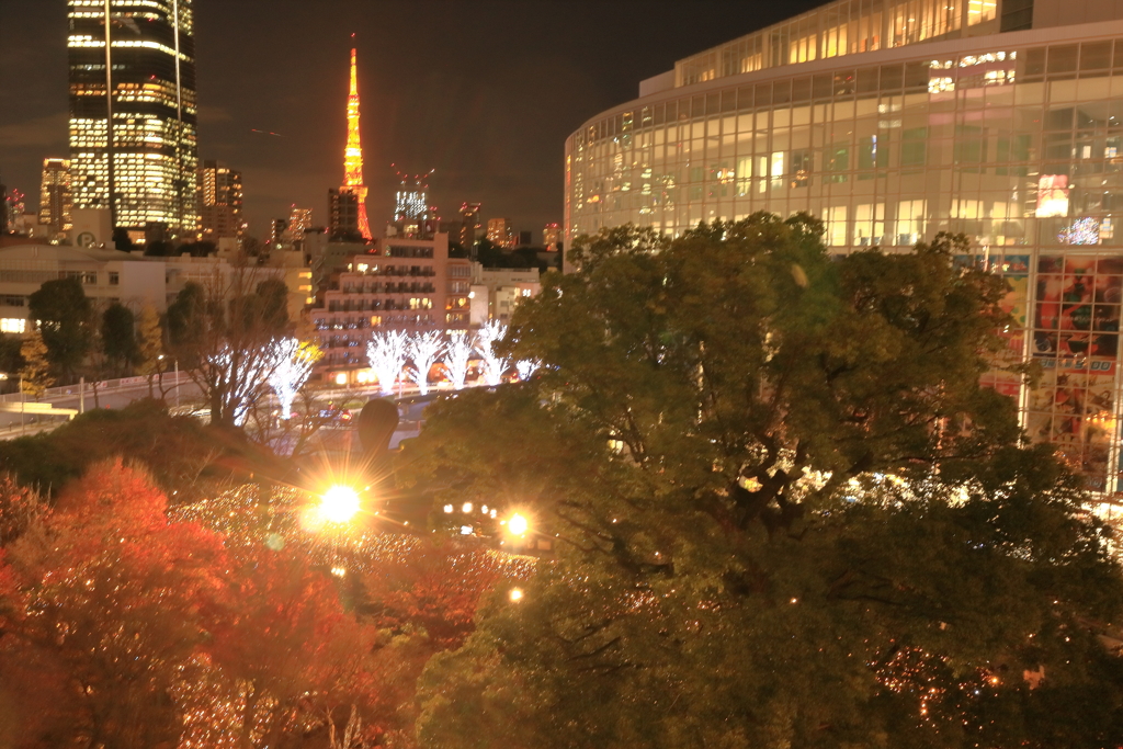 毛利庭園イルミネーション