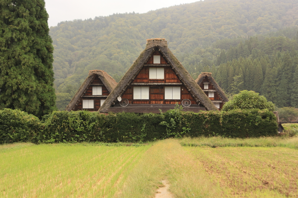 白川郷