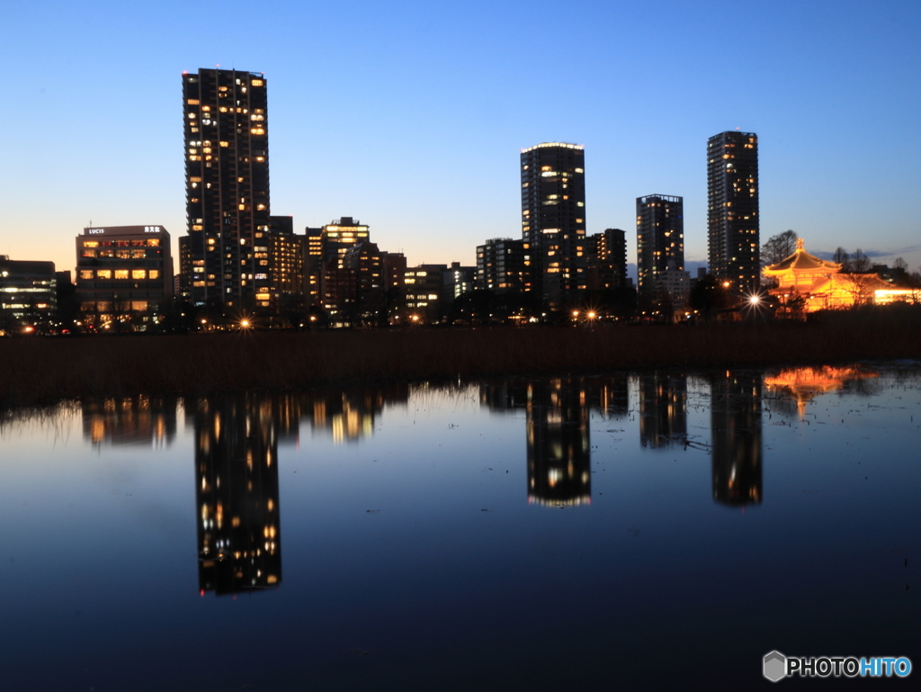 不忍池の夕景