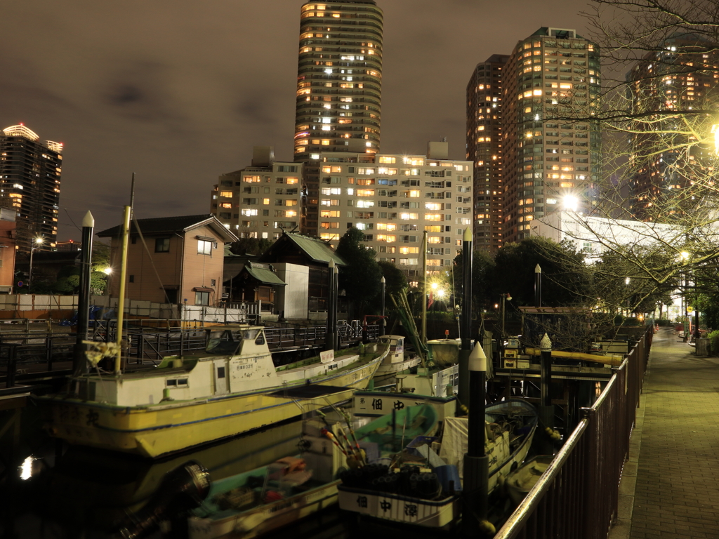 佃島　船溜まり