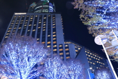 欅坂イルミネーション