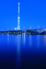 夜の隅田川
