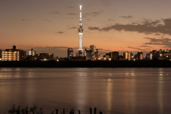 荒川越しのスカイツリー