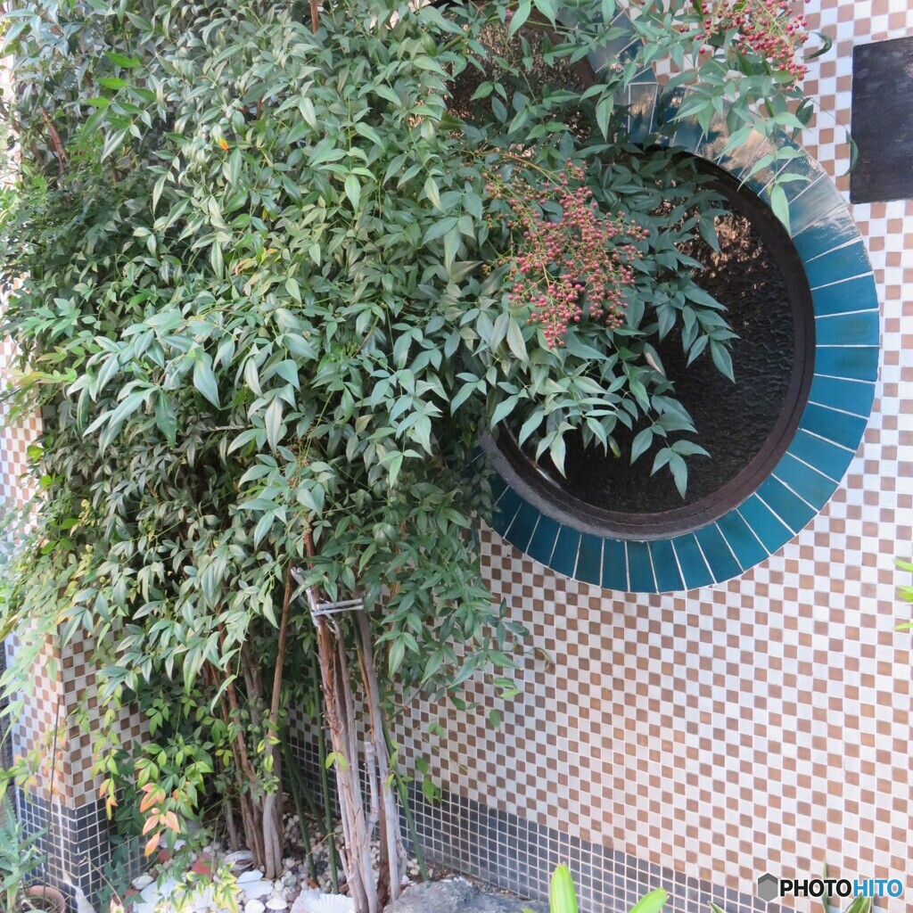 五條楽園