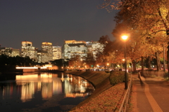 桜田濠沿いの紅葉並木