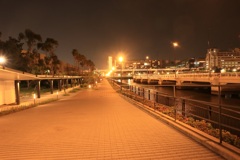 東八潮緑道公園