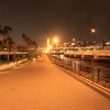 東八潮緑道公園
