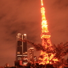 東京タワーの桜