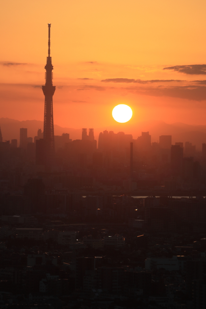 夕日