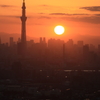 夕日