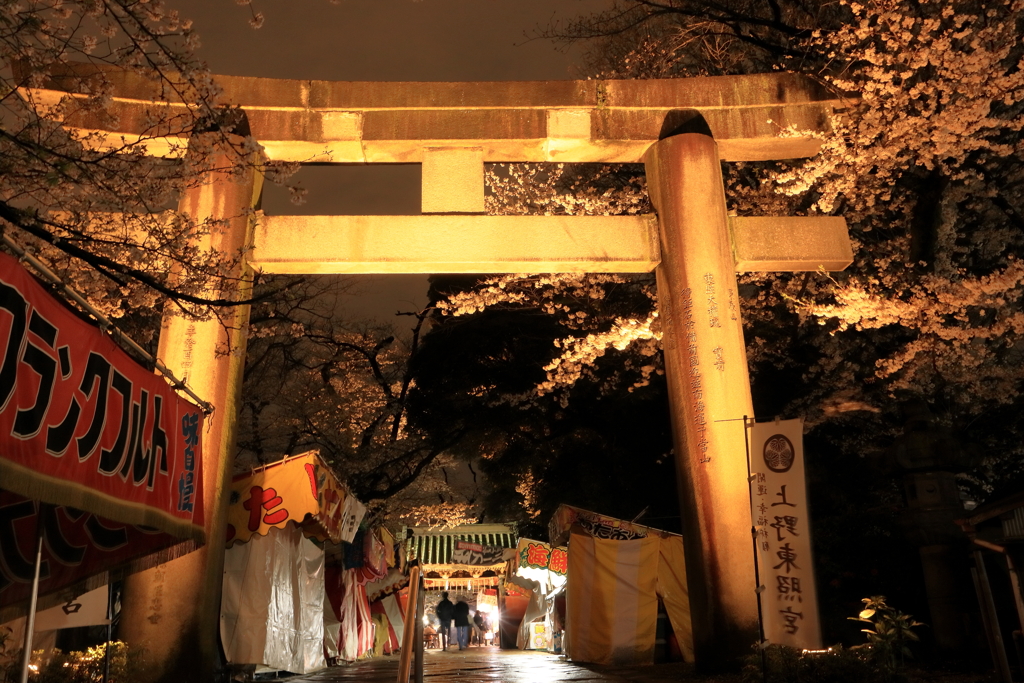 上野東照宮の桜