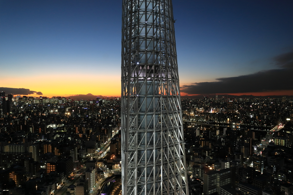 夕景とスカイツリー