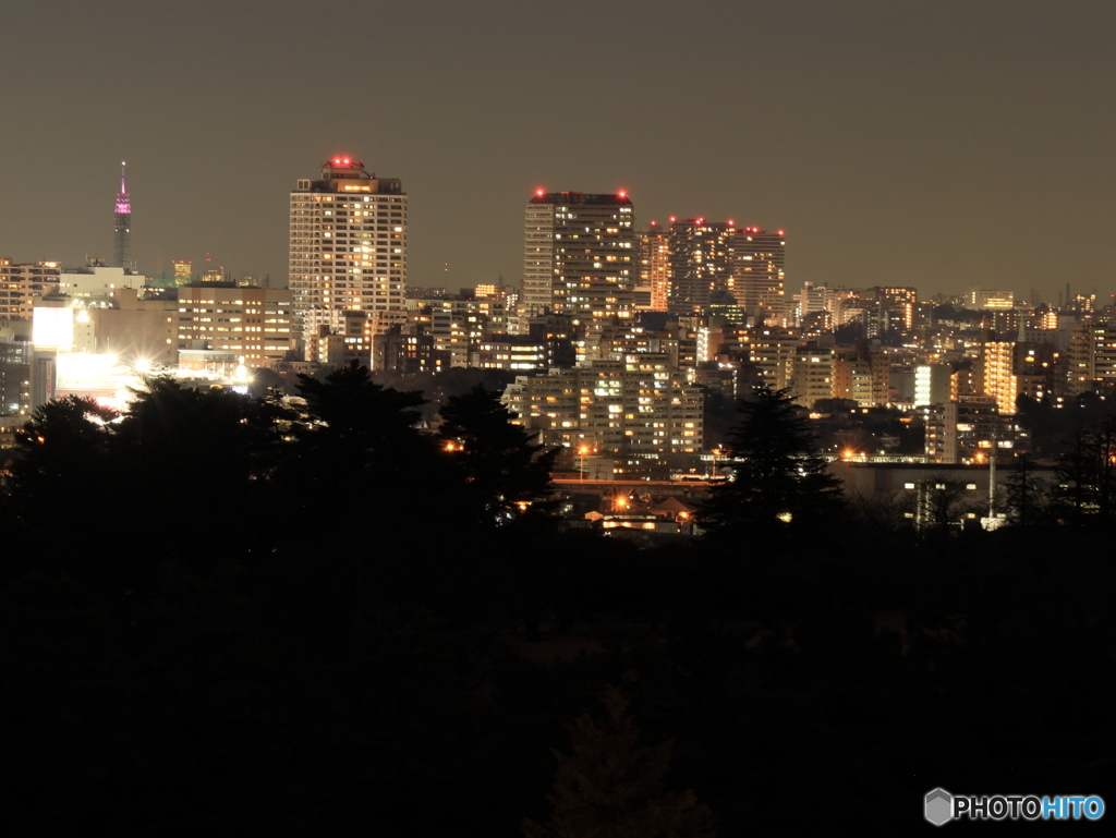 桜ヶ丘公園　ゆうひの丘から